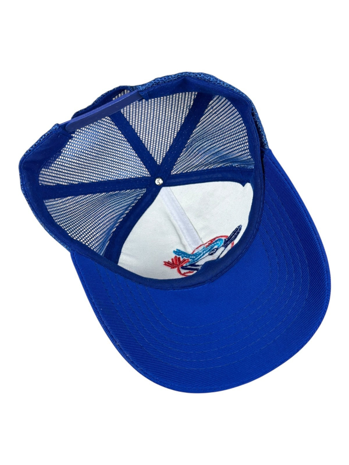Vintage Toronto Blue Jays Hat