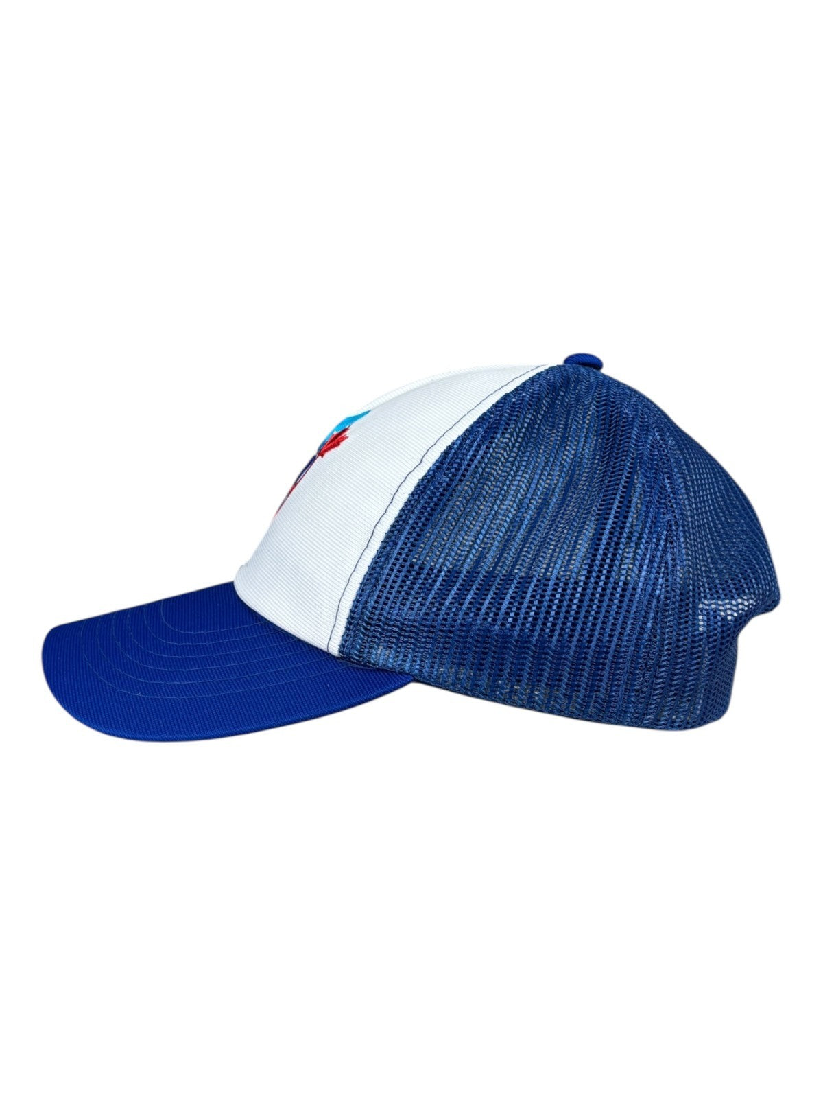 Vintage Toronto Blue Jays Hat