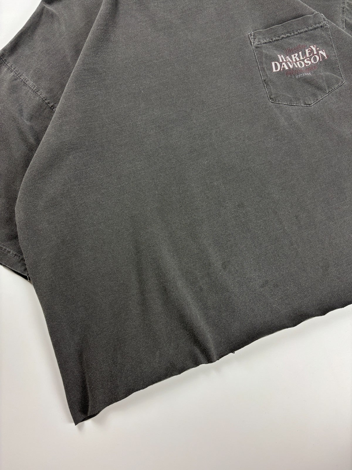 Vintage Harley Davidson Cropped Tee