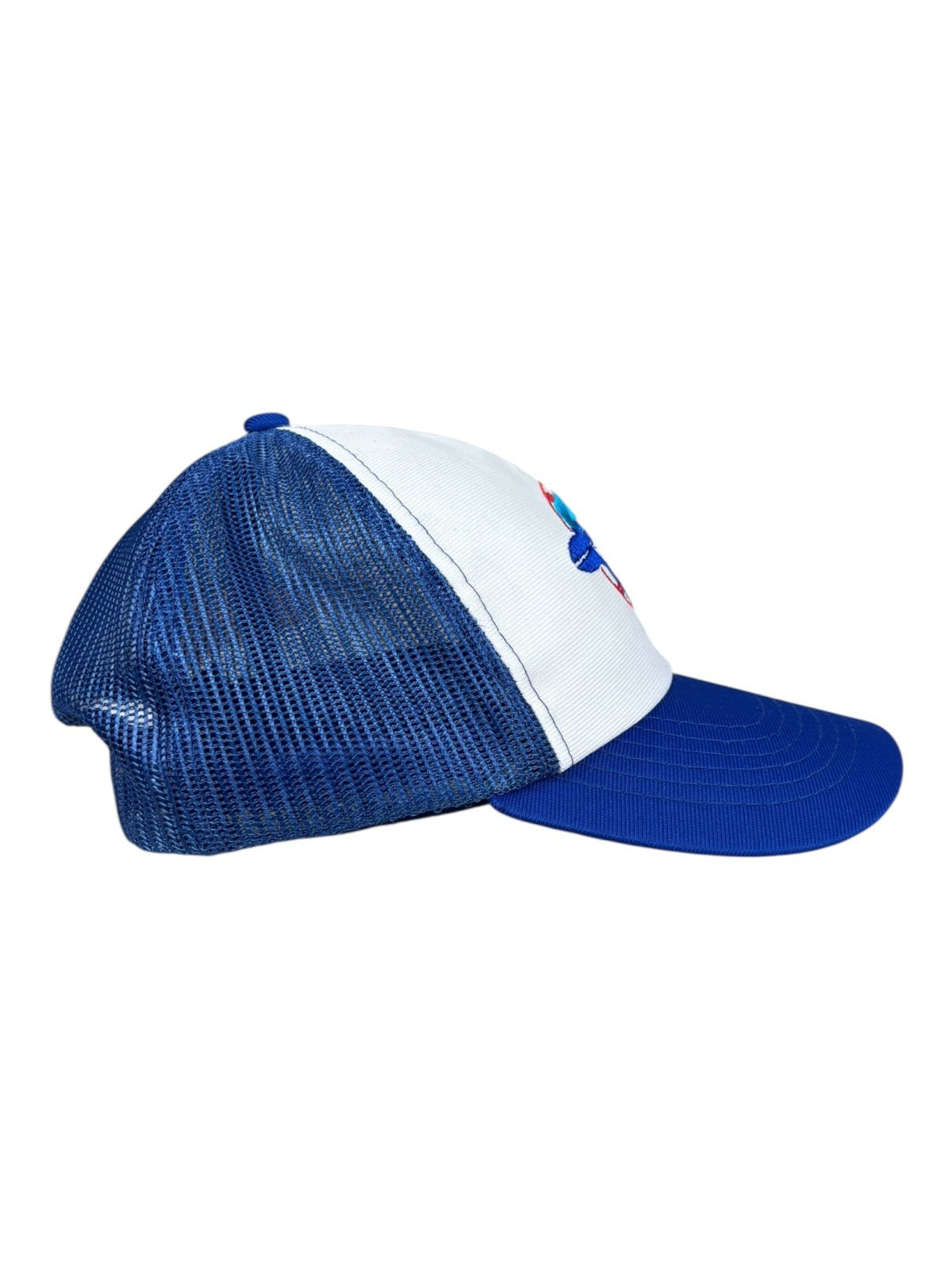 Vintage Toronto Blue Jays Hat