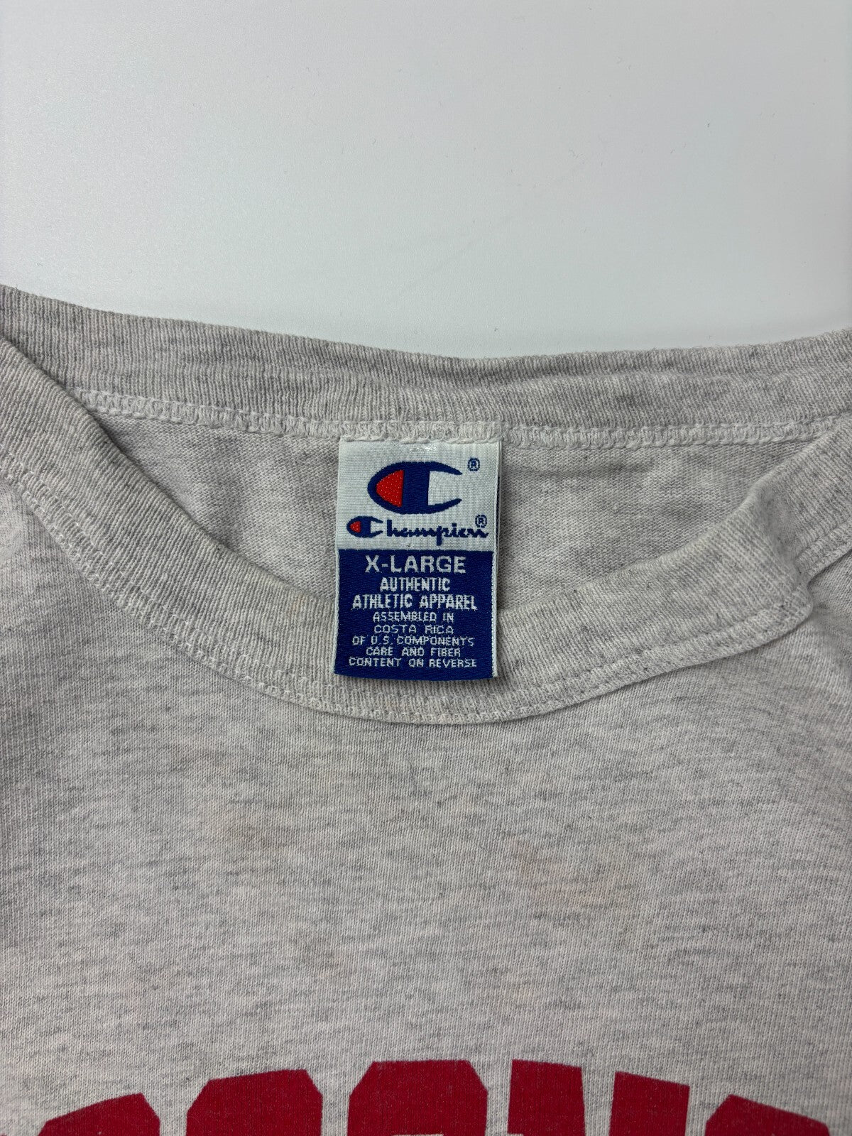 Vintage Champion Wisconsin University Tee