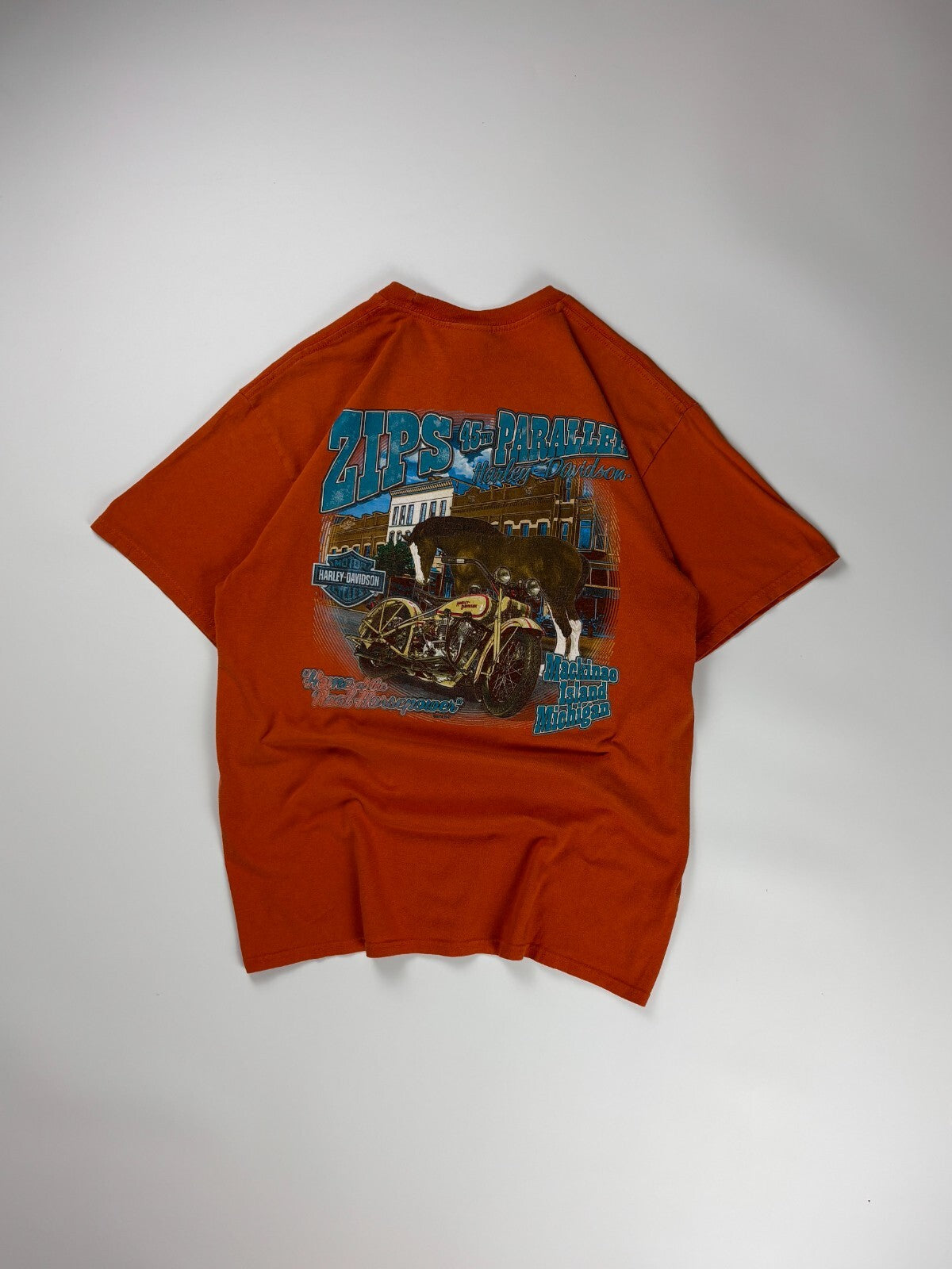 Vintage Harley Davidson Tee
