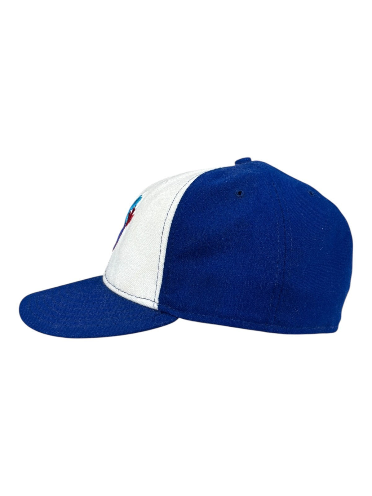 Toronto Blue Jays Hat