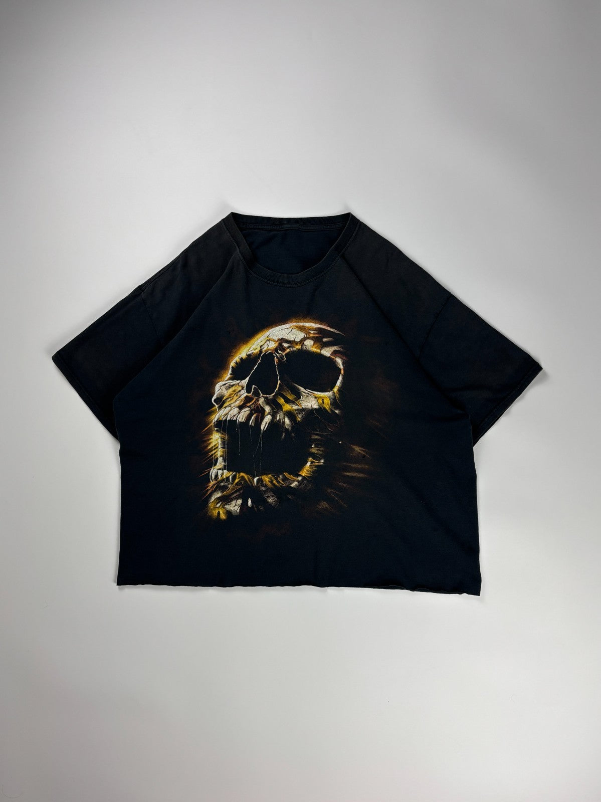 Vintage Y2K Skull Cropped Tee