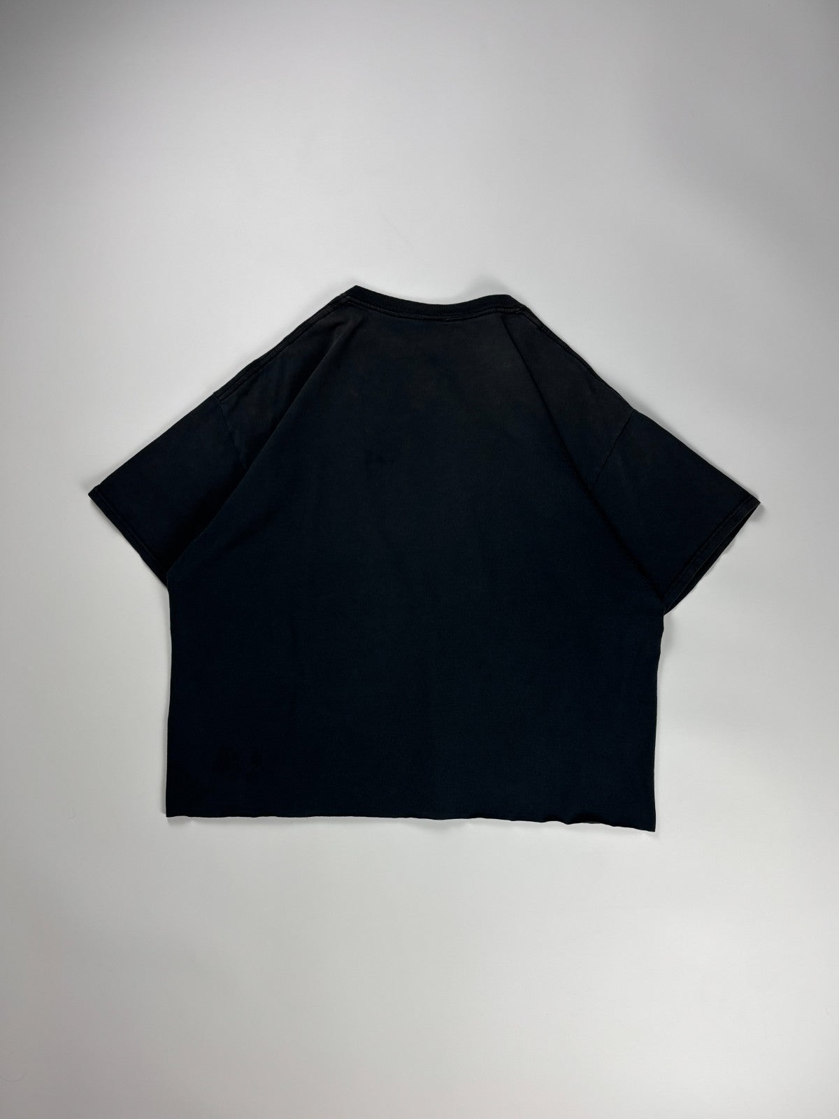 Vintage Y2K Skull Cropped Tee