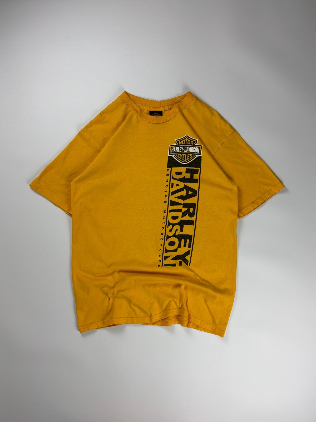 Vintage Harley Davidson Texas Tee