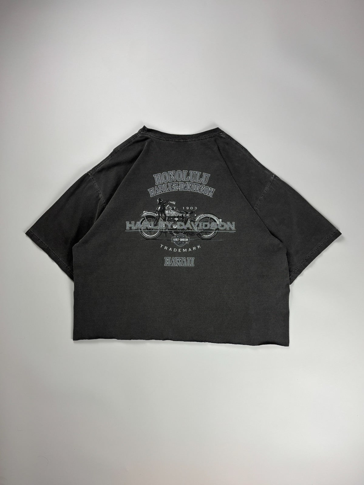 Vintage Harley Davidson Cropped Tee