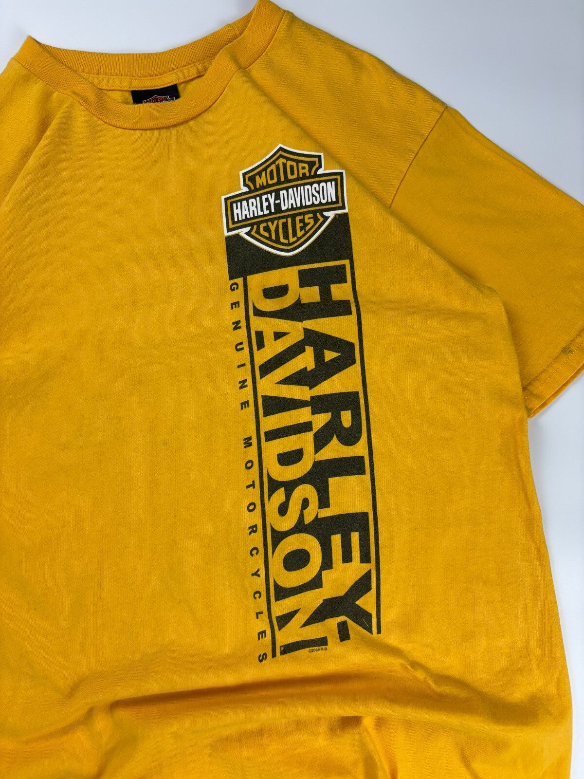 Vintage Harley Davidson Texas Tee