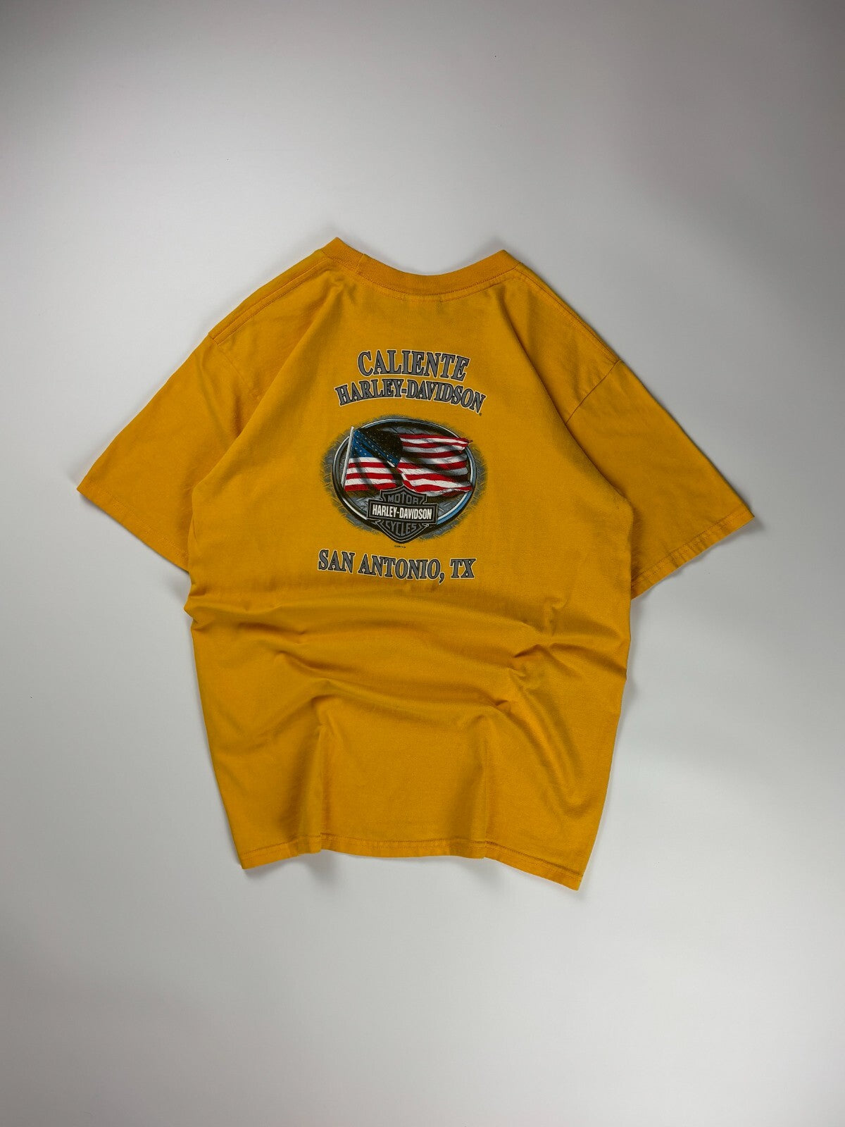 Vintage Harley Davidson Texas Tee