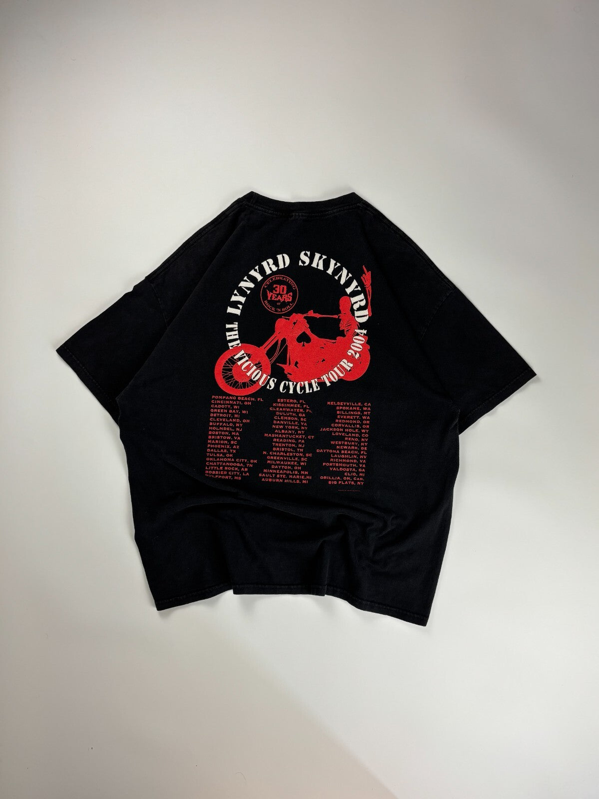 Vintage Lynyrd Skynyrd Tee
